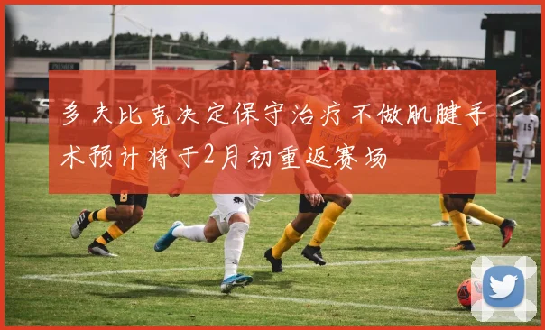 多夫比克决定保守治疗不做肌腱手术预计将于2月初重返赛场